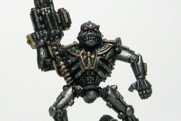 1st_Necron_Warrior