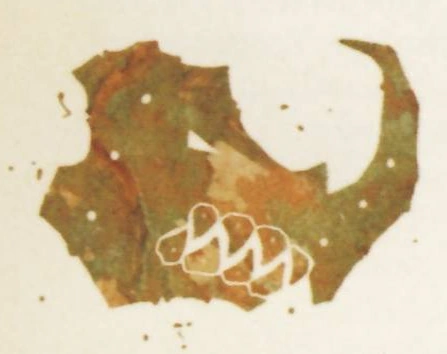 6.Ironskin_Tribe