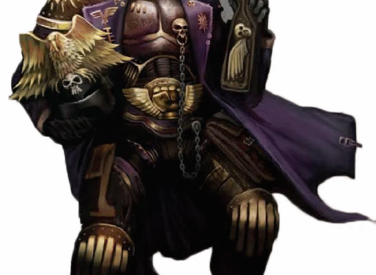 12.Judge
