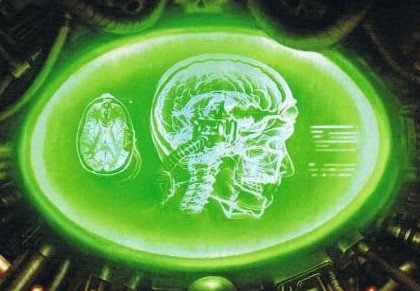 2.Navigator_s_skull_crossection_